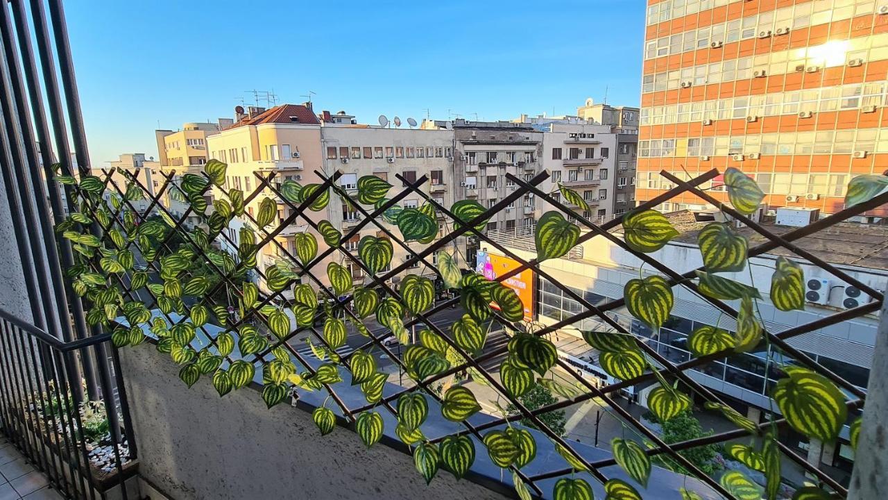 Windows City Apartment Belgrado Buitenkant foto